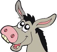 view listing for Rent Donkey